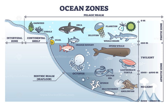 Ocean zones outline 1