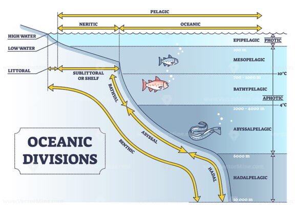 Oceanic Divisions outline