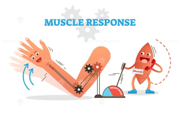 Muscle response conceptual vector illustration