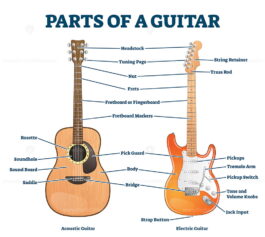 Parts of acoustic and electric guitar labeled structure vector ...