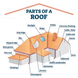 Parts of a roof, labeled structure vector illustration – VectorMine