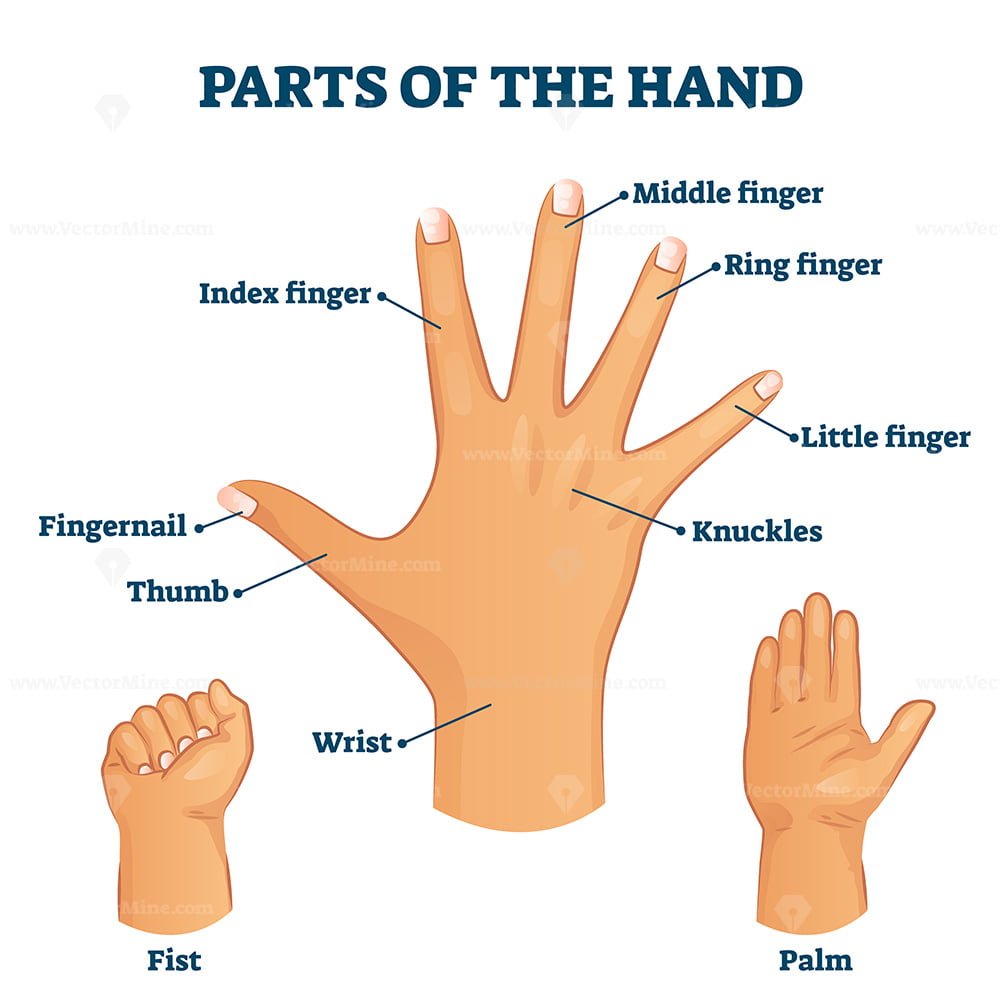 Upper Hand Vocabulary Words