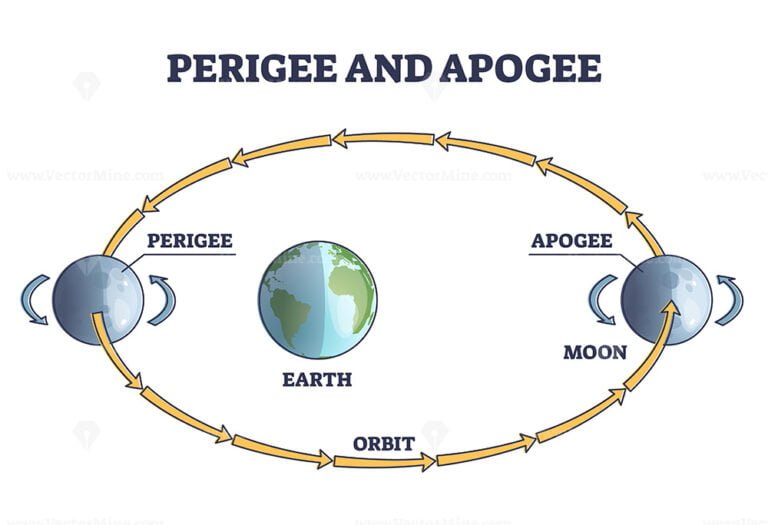 Perihelion And Aphelion Earth Position Rotating Around Sun Outline Diagram Vectormine