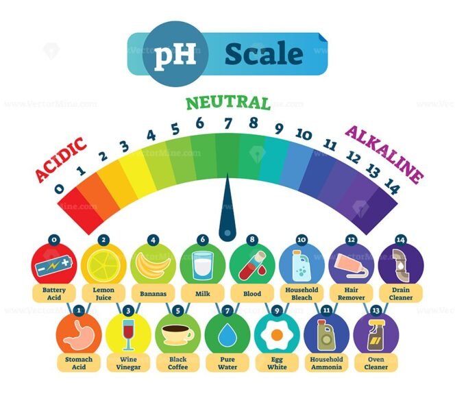 PH Acid Scale Vector Illustration Diagram with Acidic, Neutral and ...