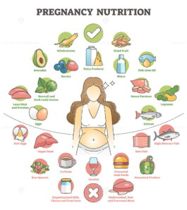 Pregnancy nutrition with recommendation female food products outline ...