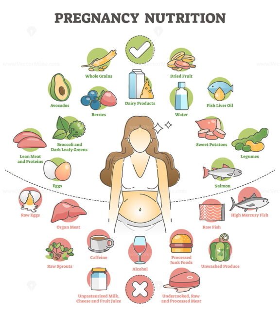 Pregnancy Nutrition outline