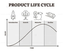 Product life cycle vector illustration – VectorMine