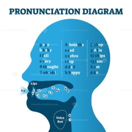 FREE Pronunciation diagram chart with letters and corresponding sounds ...