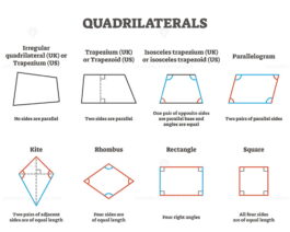 Quadrilaterals vector illustration – VectorMine