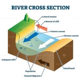 River cross section with labeled educational structure vector ...