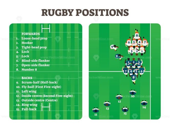 rugby-positions-team-group-figure-scheme-vector-illustration-players