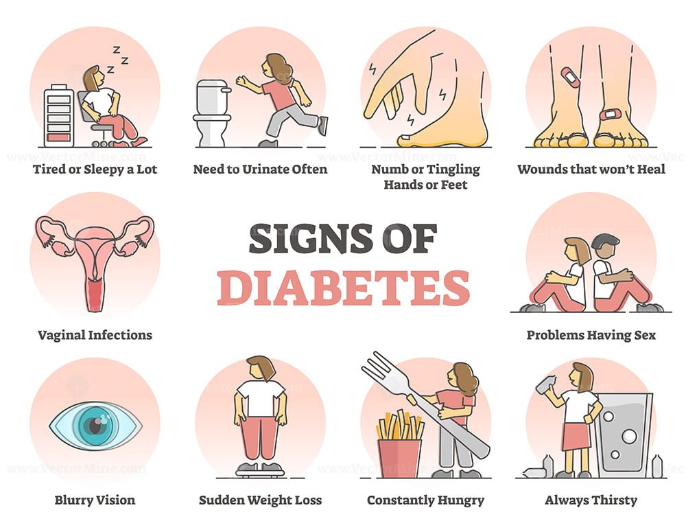 Signs Of Diabetes And High Glucose Level In Blood Symptoms Outline Diagram VectorMine