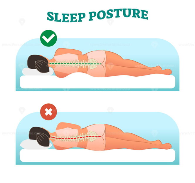 Correct and healthy sleeping posture for your neck and spine, vector ...