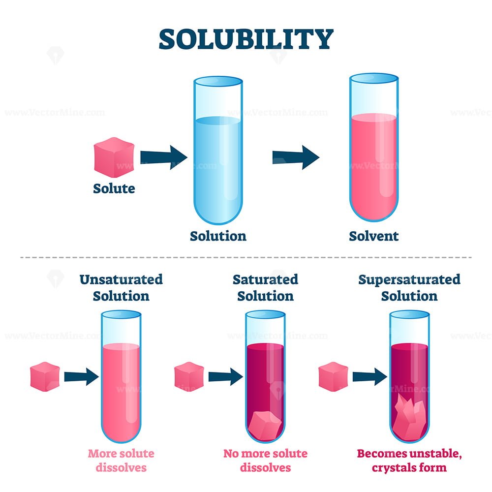 Solubility Vector Illustration VectorMine