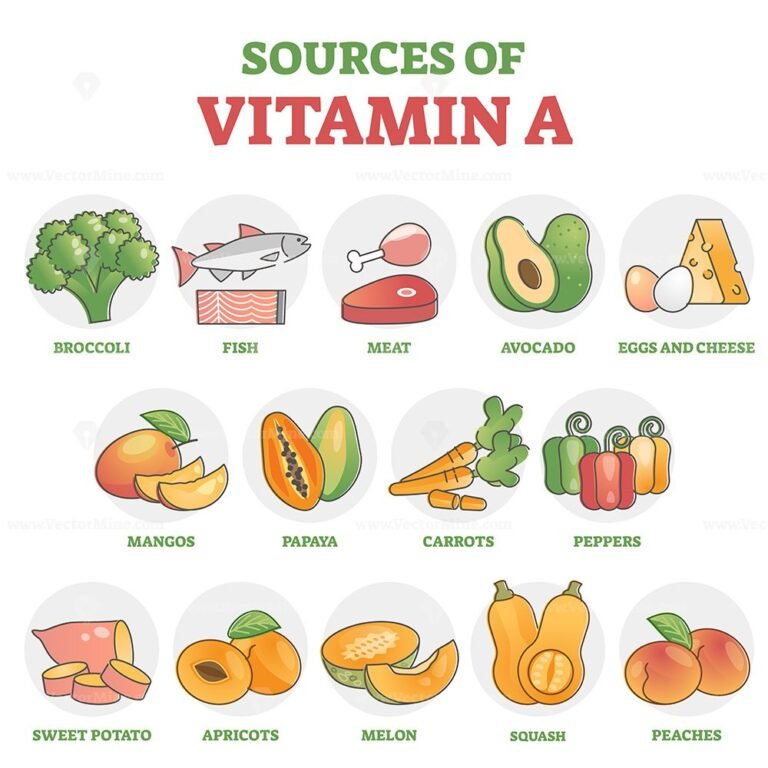 Sources of vitamin A as healthy nutrition food examples in outline ...