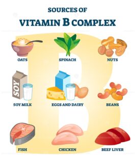 Source of vitamin B complex with labeled healthy food nutrient example ...