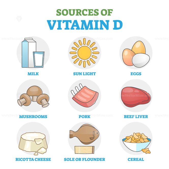 Vitamin D sources in food as healthy, natural intake method outline ...