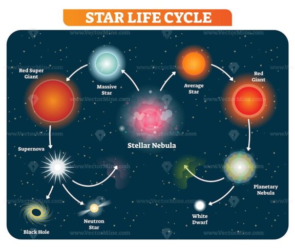 Star Life Cycle