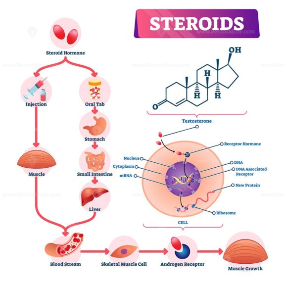 Steroids vector illustration