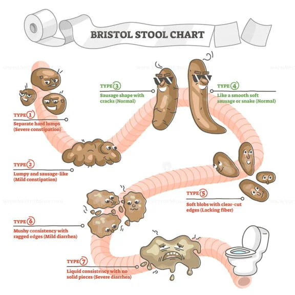 Bristol stool chart with excrement description and types outline ...