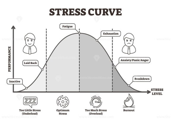 Stress Curve