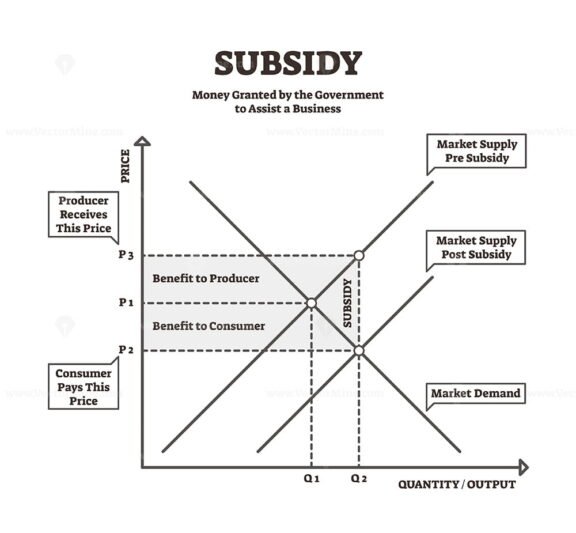 Subsidy