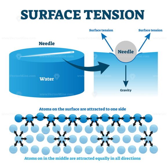 Surface Tension Explanation Vector Illustration Diagram VectorMine