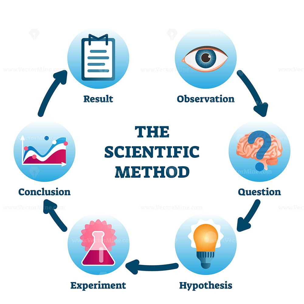 The Scientific Method Vector Illustration VectorMine