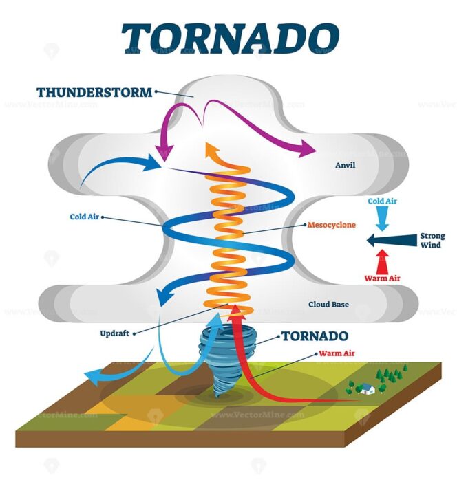 Tornado vector illustration - VectorMine