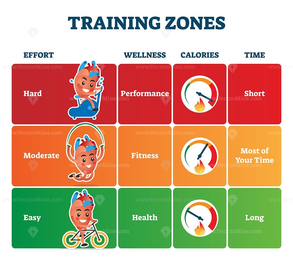 Training zones vector illustration – VectorMine