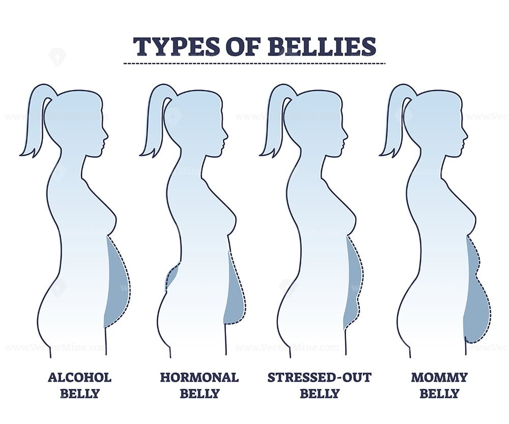 types-of-bellies-with-abdominal-fat-problem-in-stomach-area-outline