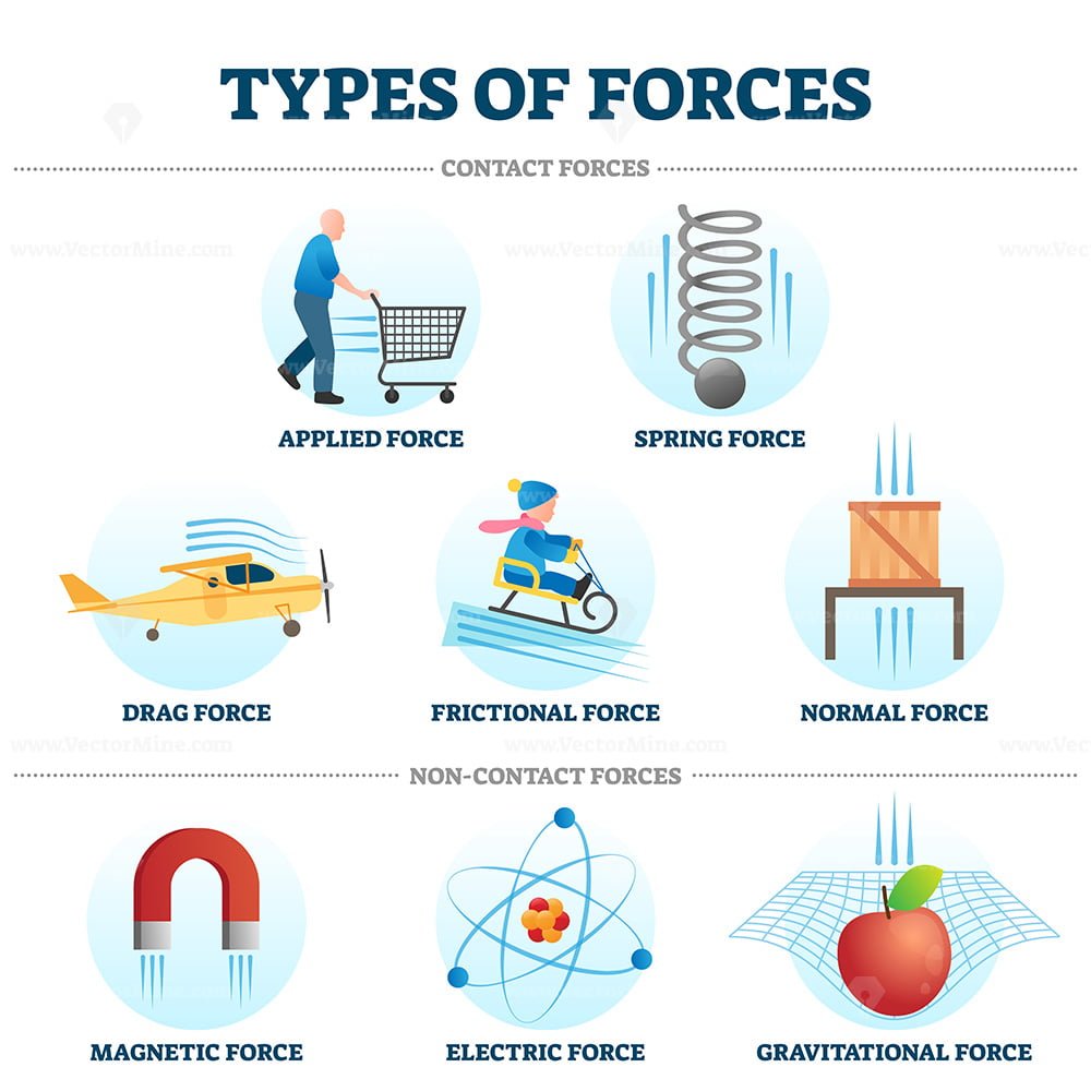 Types of forces vector illustration example collection – VectorMine