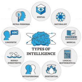 Types of intelligence outline symbols diagram - VectorMine