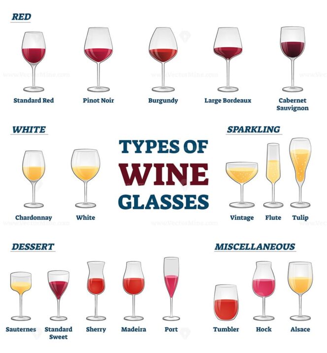 Types of wine glasses educational labeled classification example ...