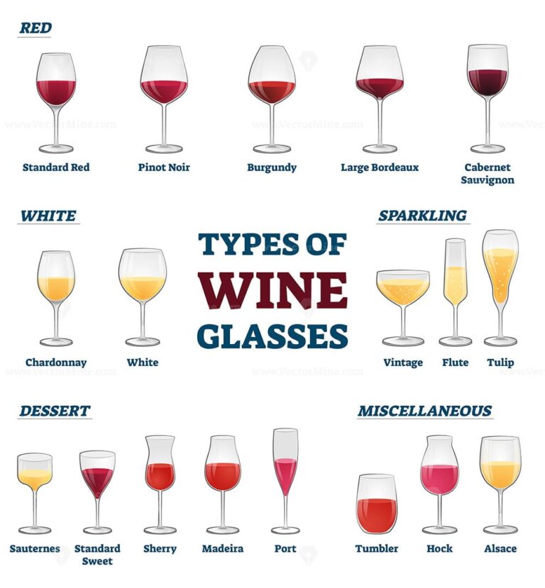 Types of wine vector illustration – VectorMine