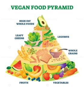 Vegan food pyramid vector illustration – VectorMine