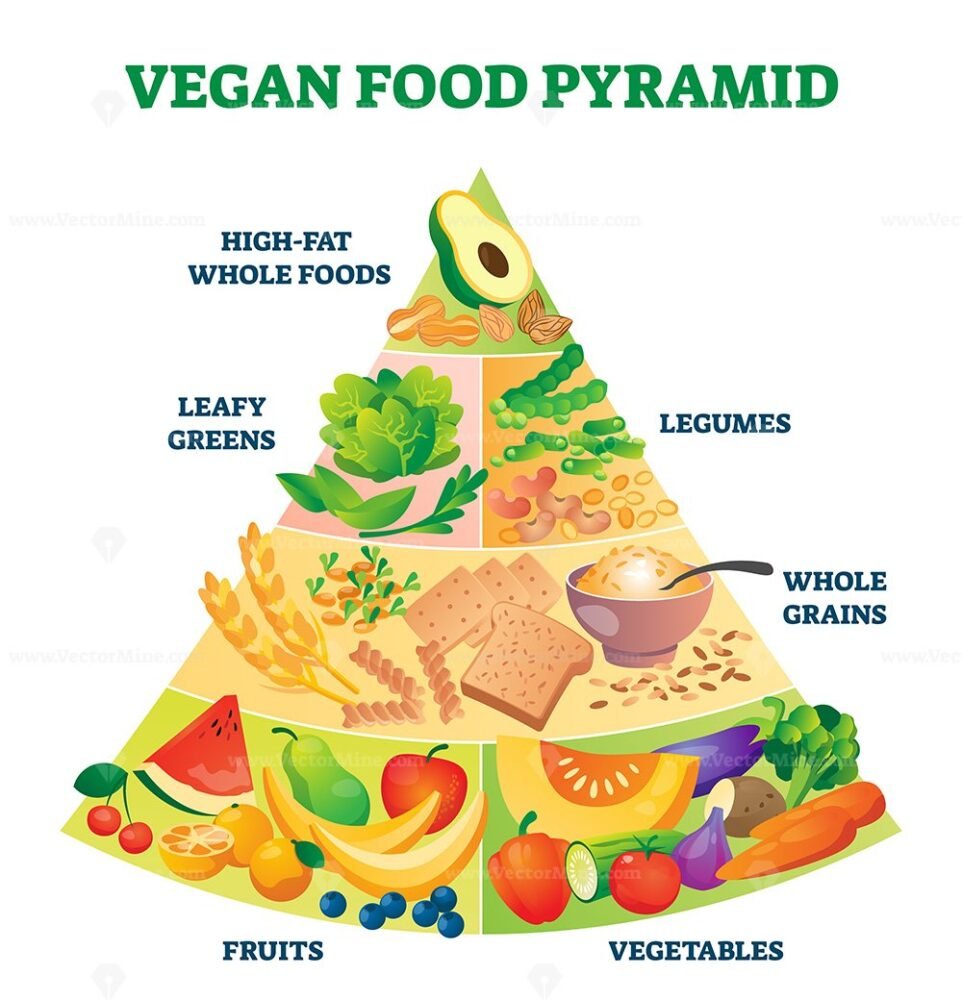 Vegan Food Pyramid Vector Illustration Vectormine | Sexiz Pix
