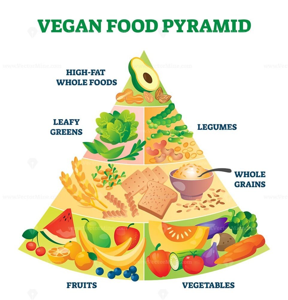 Vegan Food Pyramid Vector Illustration Vectormine Sexiz Pix