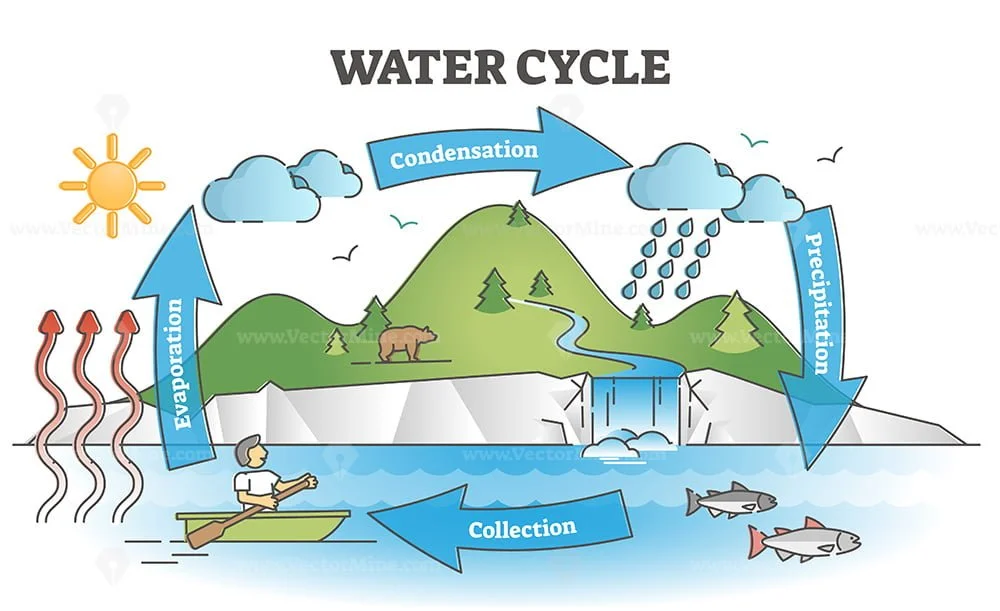 Water cycle diagram with simple rain circulation explanation outline