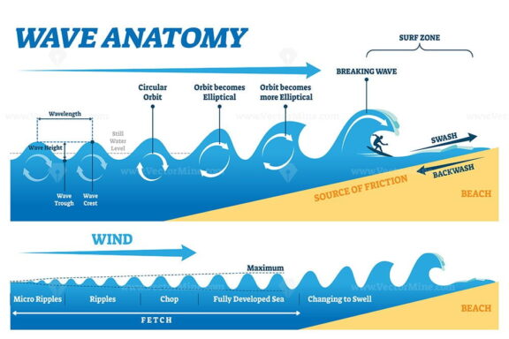 Wave Anatomy