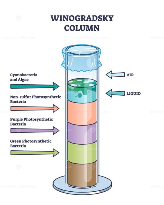 Winogradsky Column outline Diagram