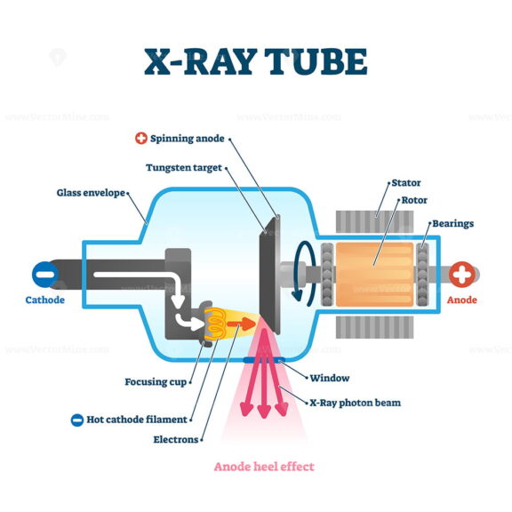 X ray tube vector illustration