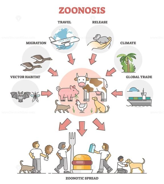 Zoonosis outline