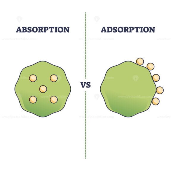 absorption vs adsorption outline diagram 1