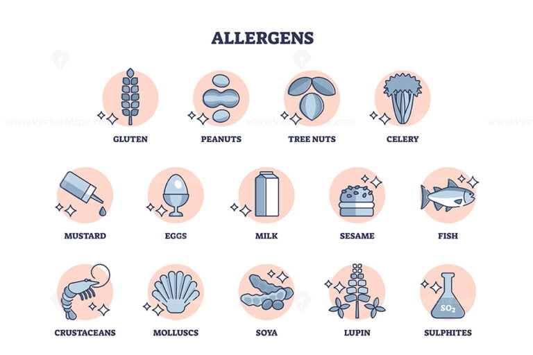 Allergens set as allergic products collection from food outline diagram ...