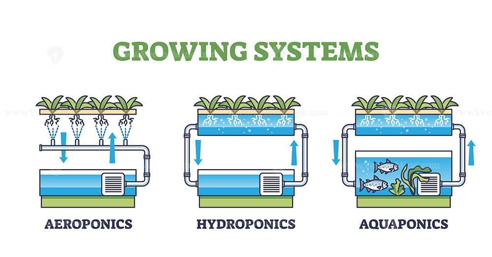 Aquaponics, Hydroponics And Aeroponics As Growing Systems Outline ...