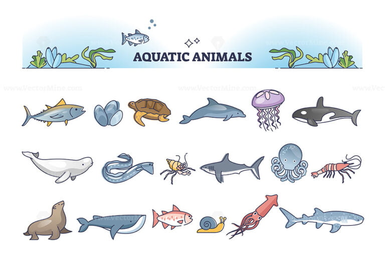 Aquatic animals collection with sea and ocean wildlife outline items ...