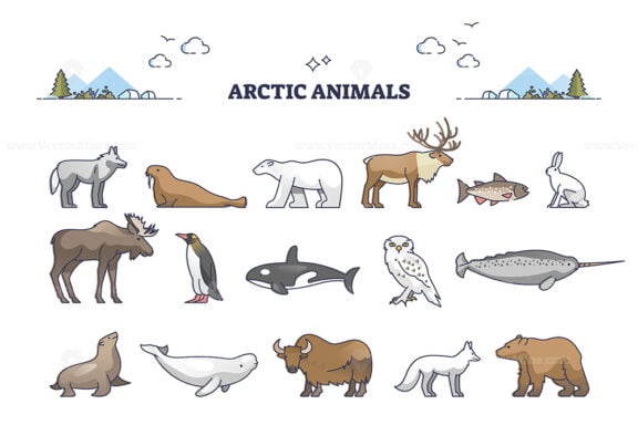 Arctic animals collection with cold north environment wildlife outline set