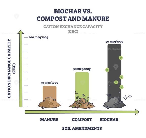 biochar vs compost and manure cation exchange capacity cec 1