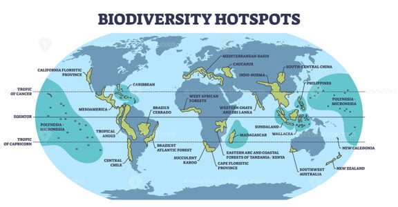 Biodiversity hotspots with life species variety on world map outline diagram